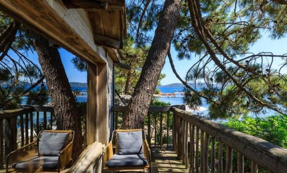 Дом на дереве