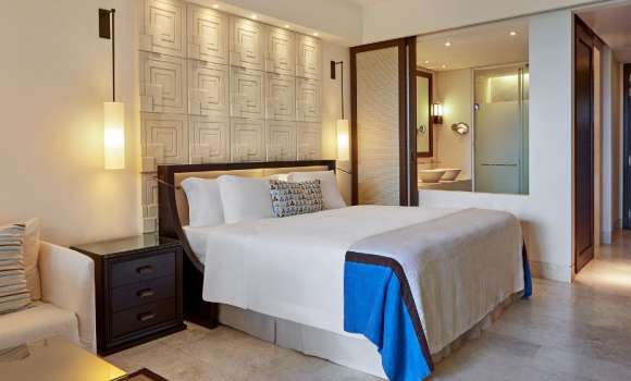 Deluxe Garden View Guest room King