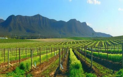 Мисливська долина (Sidney)