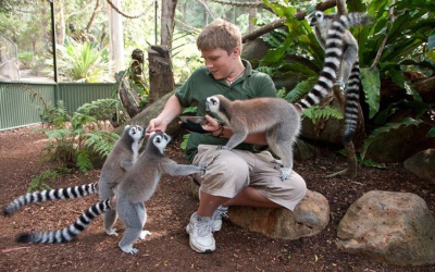 Екскурсія на зоопарк Кернс з розвагами та вечерею