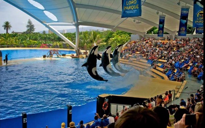 Лорен Парк (Іспанія)