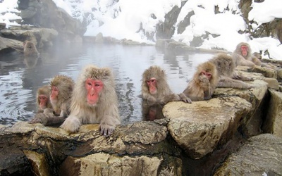 Екскурсія до Дяволської долини та Священного храму Дзенькозі