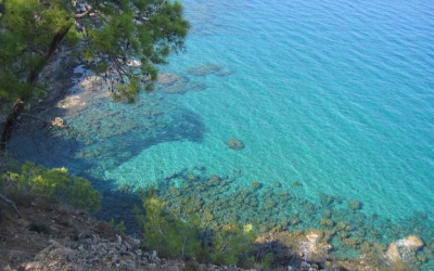 Джеп Сафарі в Acomas Reserve