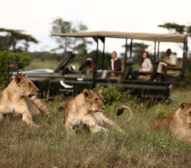 Картинка Klein's Camp 10 Фото Klein's Camp 10