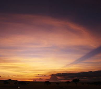 Фото Sabora Tented Camp (Танзания, Национальный парк Серенгети) 1