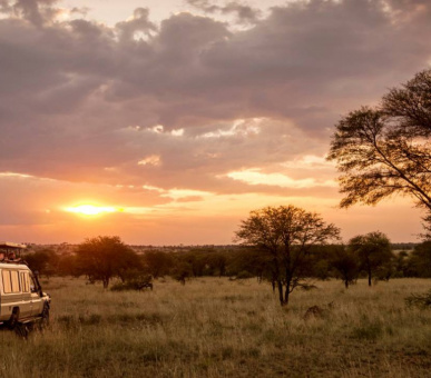 Фото Four Seasons Safari Lodge (Танзания, Национальный парк Серенгети) 11