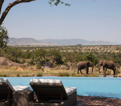 Фото Four Seasons Safari Lodge (Танзания, Национальный парк Серенгети) 20