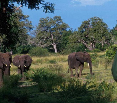 Картинка 2 Фото 2