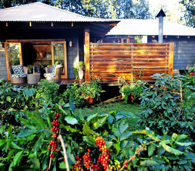 Картинка Arusha Coffee Lodge 13 Фото Arusha Coffee Lodge 13