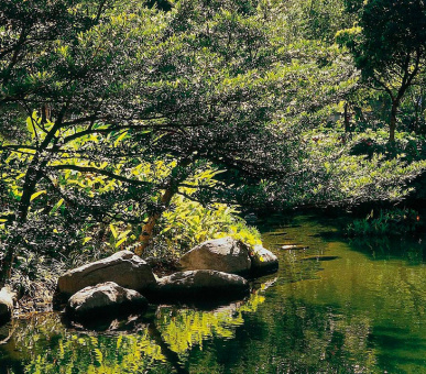 Картинка Four Seasons Hotel Hong Kong (Гонконг, Гонконг) 9 Фото Four Seasons Hotel Hong Kong (Гонконг, Гонконг) 9