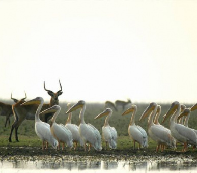 Картинка 3 Фото 3