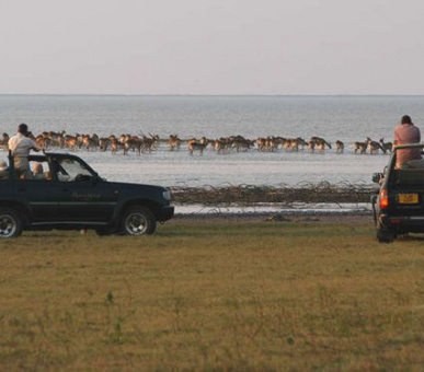 Картинка 9 Фото 9