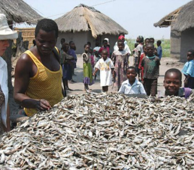 Картинка 1 Фото 1