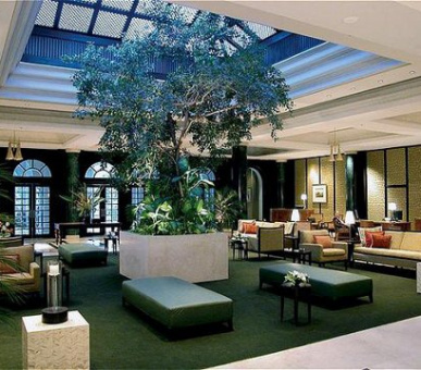 Картинка 15 Фото 15