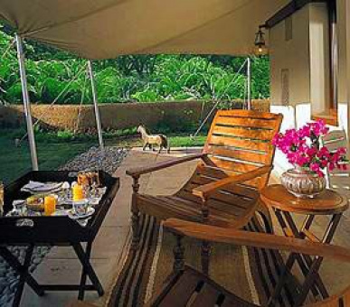 Картинка 15 Фото 15