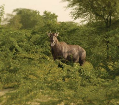 Картинка 10 Фото 10