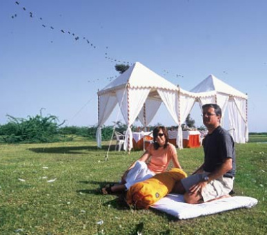 Картинка 8 Фото 8