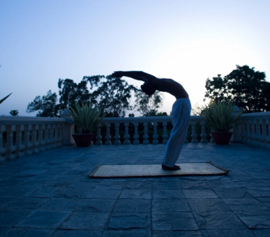 Фото Ananda in the Himalayas 6