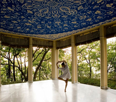 Фото Ananda in the Himalayas 3