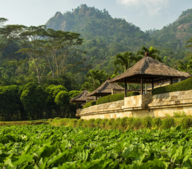 Фото Amanjiwo 25