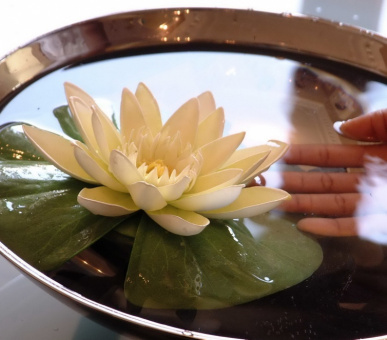 Фото Hotel des Trois Couronnes (Швейцария, Веве) 44