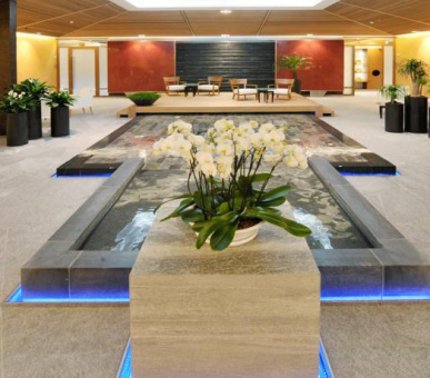 Фото Castello Del Sole (Швейцария, Аскона) 15