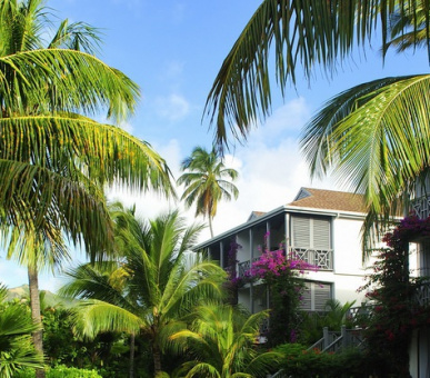 Картинка Carlisle Bay (, Антигуа) 3 Фото Carlisle Bay (, Антигуа) 3