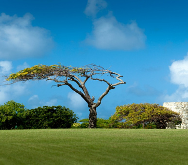 Фото Jumby Bay, A Rosewood Resort (, Антигуа) 44