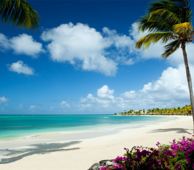 Фото Jumby Bay, A Rosewood Resort (, Антигуа) 43