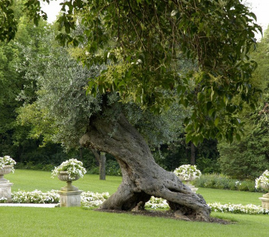 Картинка Byblos Art Hotel Villa Amista (Италия, Верона) 46 Фото Byblos Art Hotel Villa Amista (Италия, Верона) 46