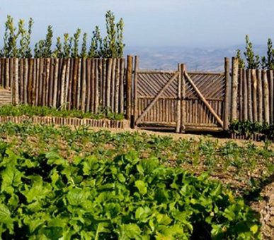 Картинка Castiglion del Bosco (Италия, Форте дей Марми) 9 Фото Castiglion del Bosco (Италия, Форте дей Марми) 9