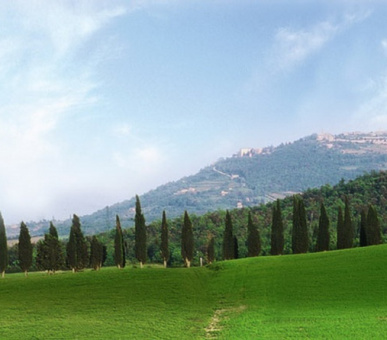 Картинка Castiglion del Bosco (Италия, Форте дей Марми) 18 Фото Castiglion del Bosco (Италия, Форте дей Марми) 18