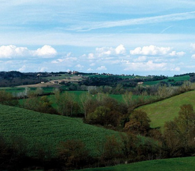 Картинка Castiglion del Bosco (Италия, Форте дей Марми) 6 Фото Castiglion del Bosco (Италия, Форте дей Марми) 6