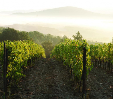 Картинка Castello di Casole 23 Фото Castello di Casole 23