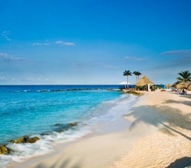 Картинка Curacao Marriott Beach resort 7 Фото Curacao Marriott Beach resort 7