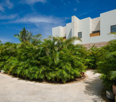 Картинка Chable Maroma 13 Фото Chable Maroma 13