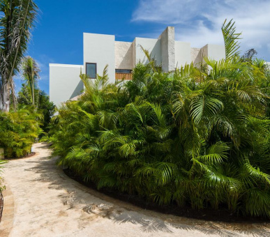 Картинка Chable Maroma 48 Фото Chable Maroma 48