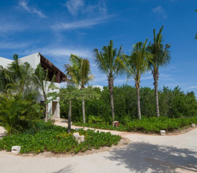 Картинка Chable Maroma 46 Фото Chable Maroma 46