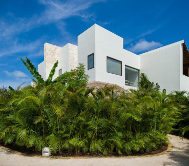 Картинка Chable Maroma 15 Фото Chable Maroma 15