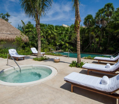 Картинка Chable Maroma 20 Фото Chable Maroma 20