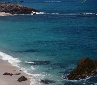 Фото Four Seasons Resort Punta Mita (Мексика, Пуэрто-Вальярта) 20