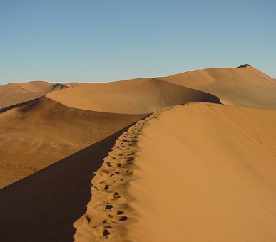 Картинка 1 Фото 1