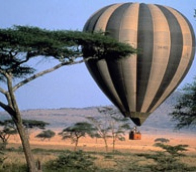 Картинка 18 Фото 18