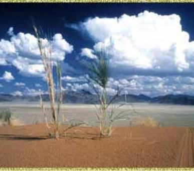 Картинка 13 Фото 13