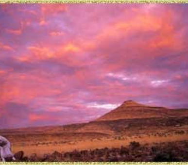 Картинка 12 Фото 12