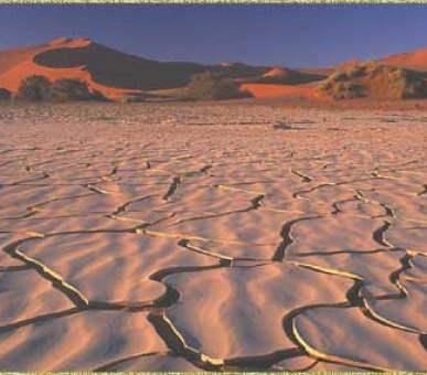 Картинка 14 Фото 14