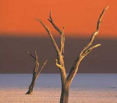 Картинка 15 Фото 15