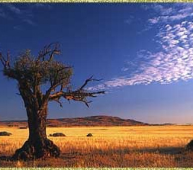 Картинка 10 Фото 10