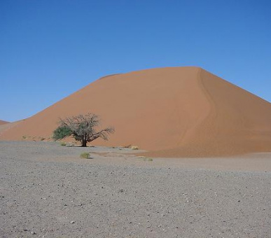 Картинка 2 Фото 2