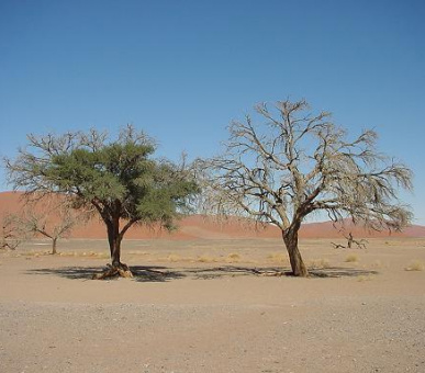 Картинка 3 Фото 3